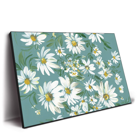 White daisies on a teal background, highlighting the simplicity and beauty of the flowers.