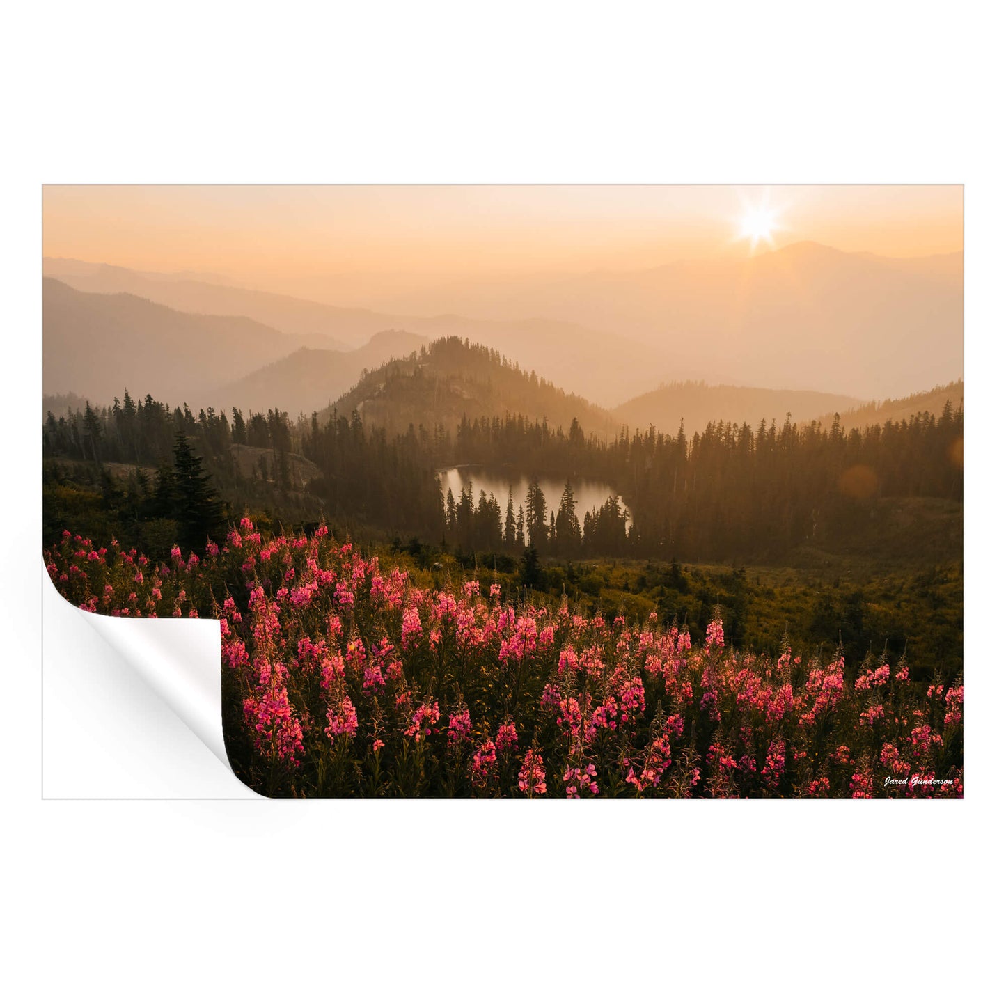 Wildflower Island