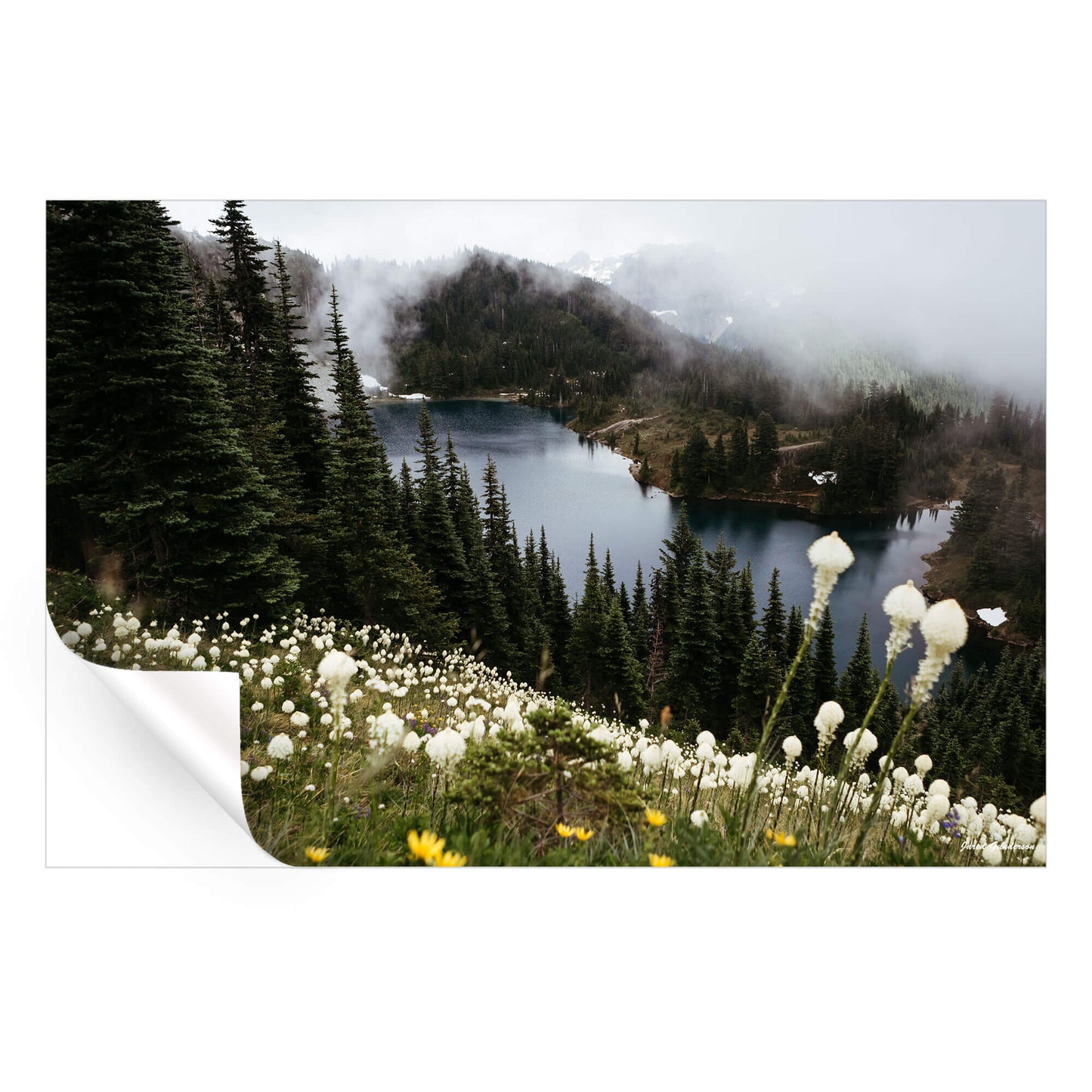 Wildflower Overlook