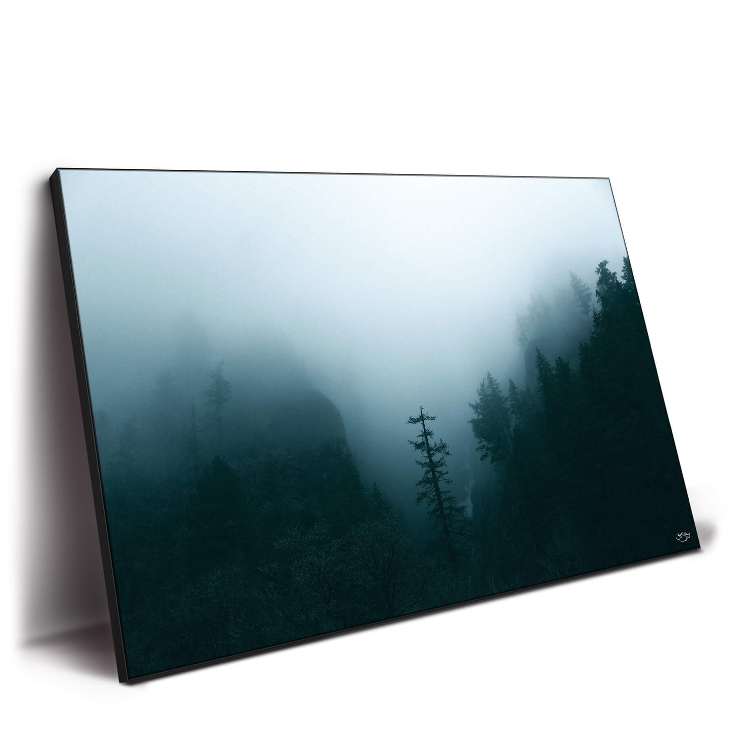 Winter Forest Fog
