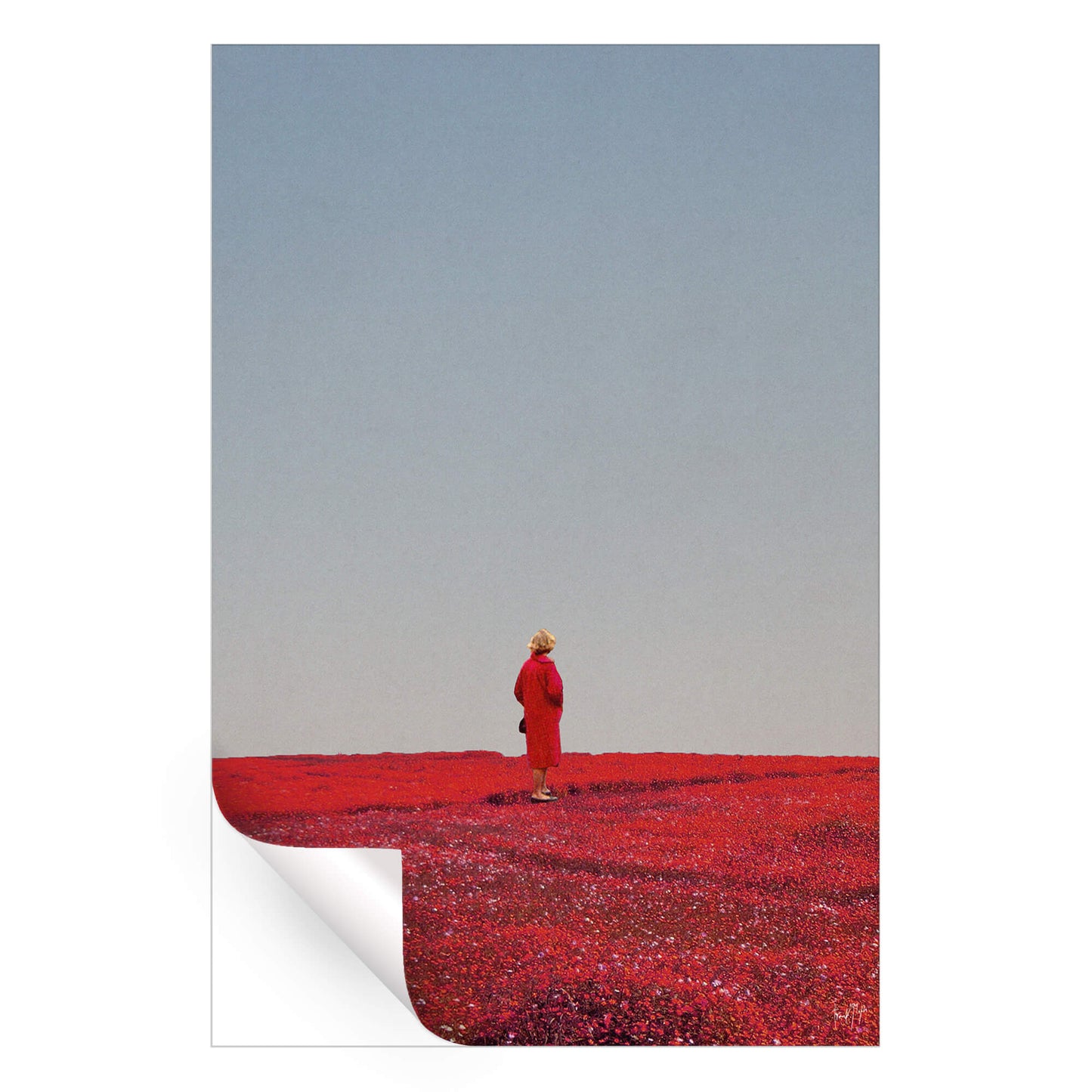 Everything Was Red