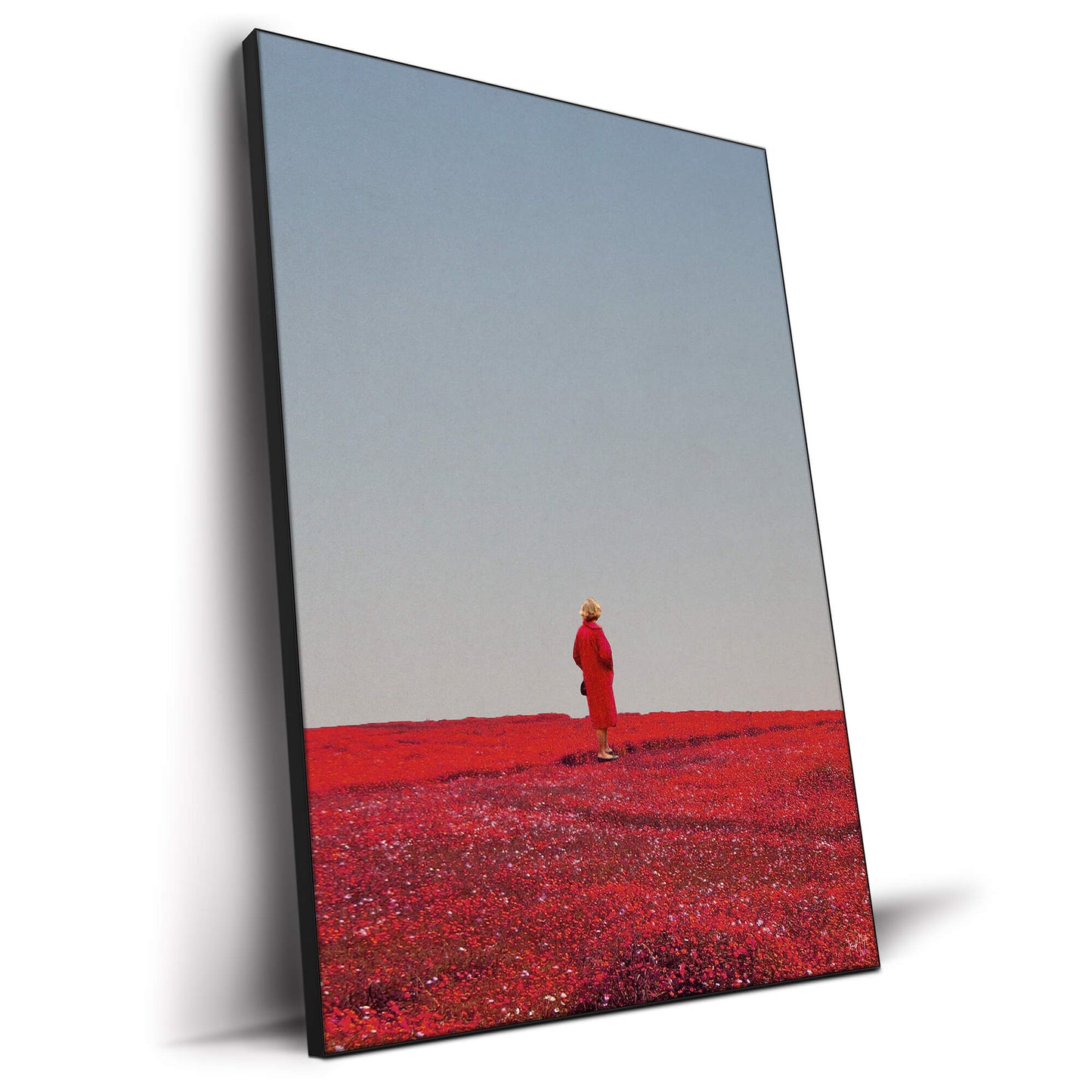 woman in red in field of red flowers surreal