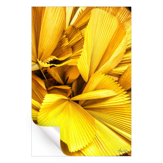 Yellow Palm Leaves
