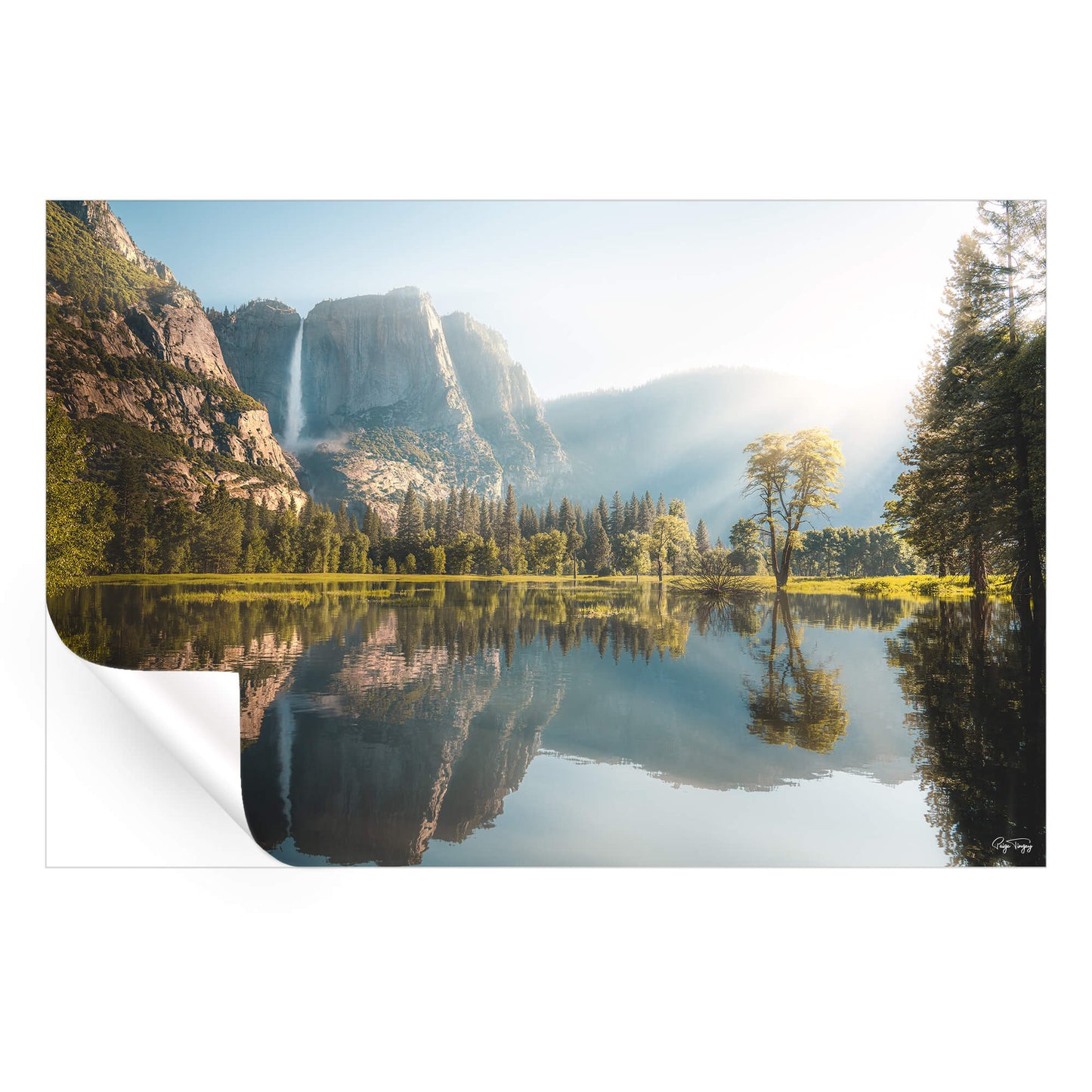 Yosemite Morning