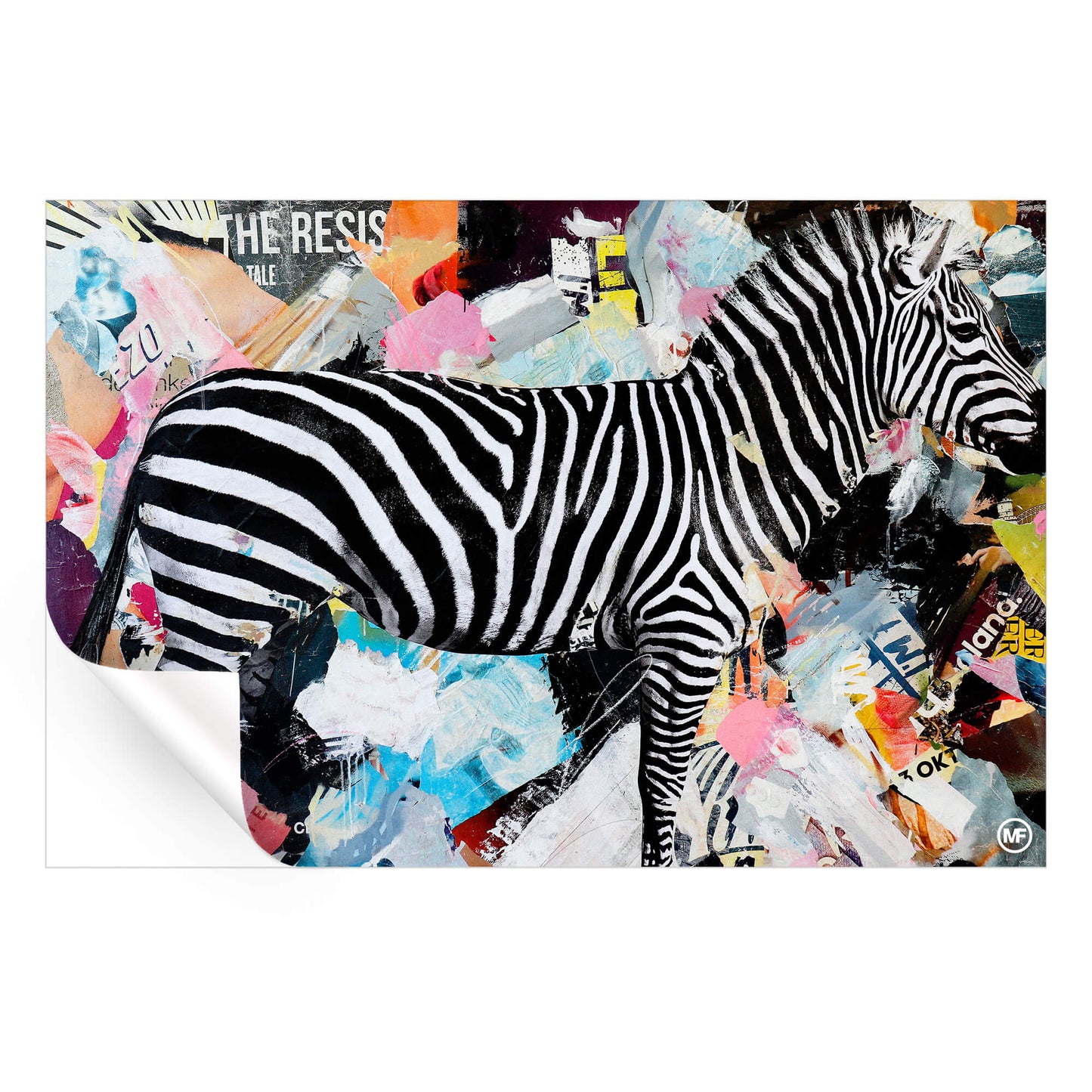 Zebra Lounge
