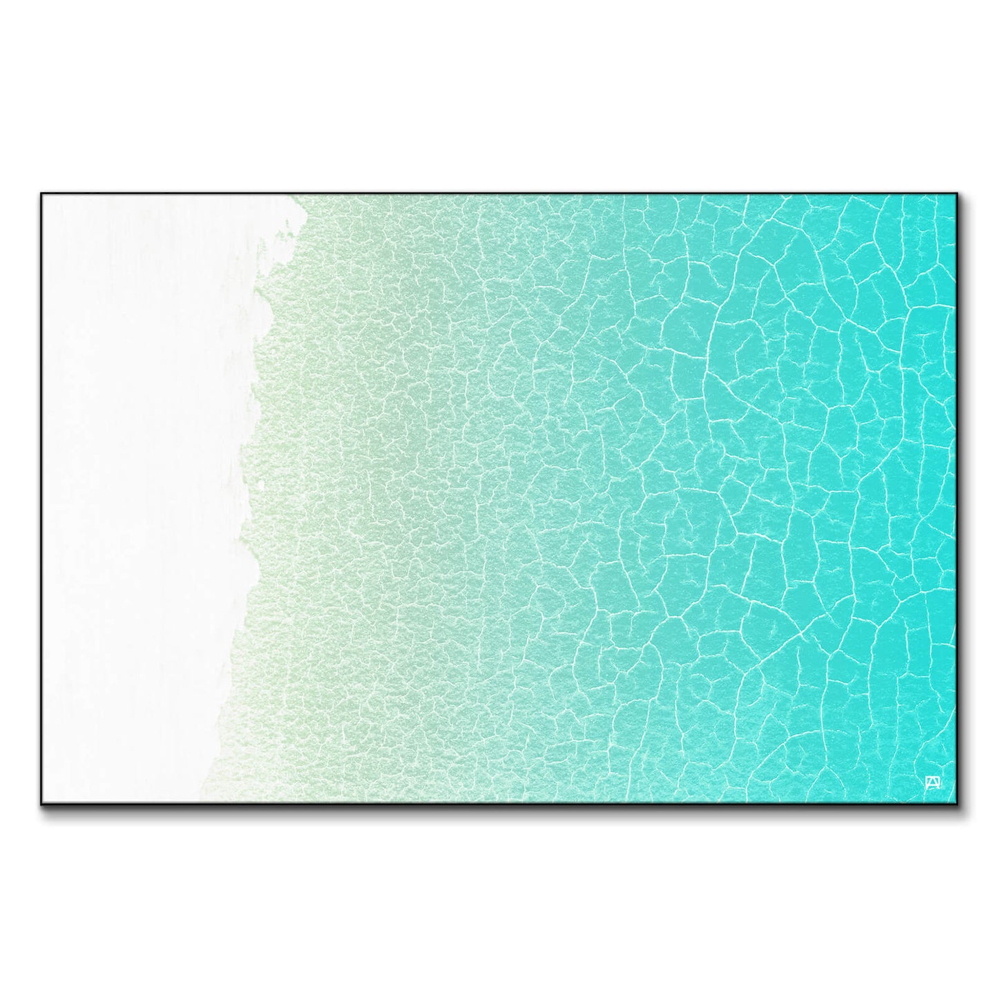 Shallows