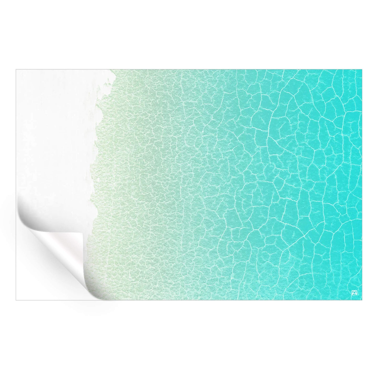 Shallows