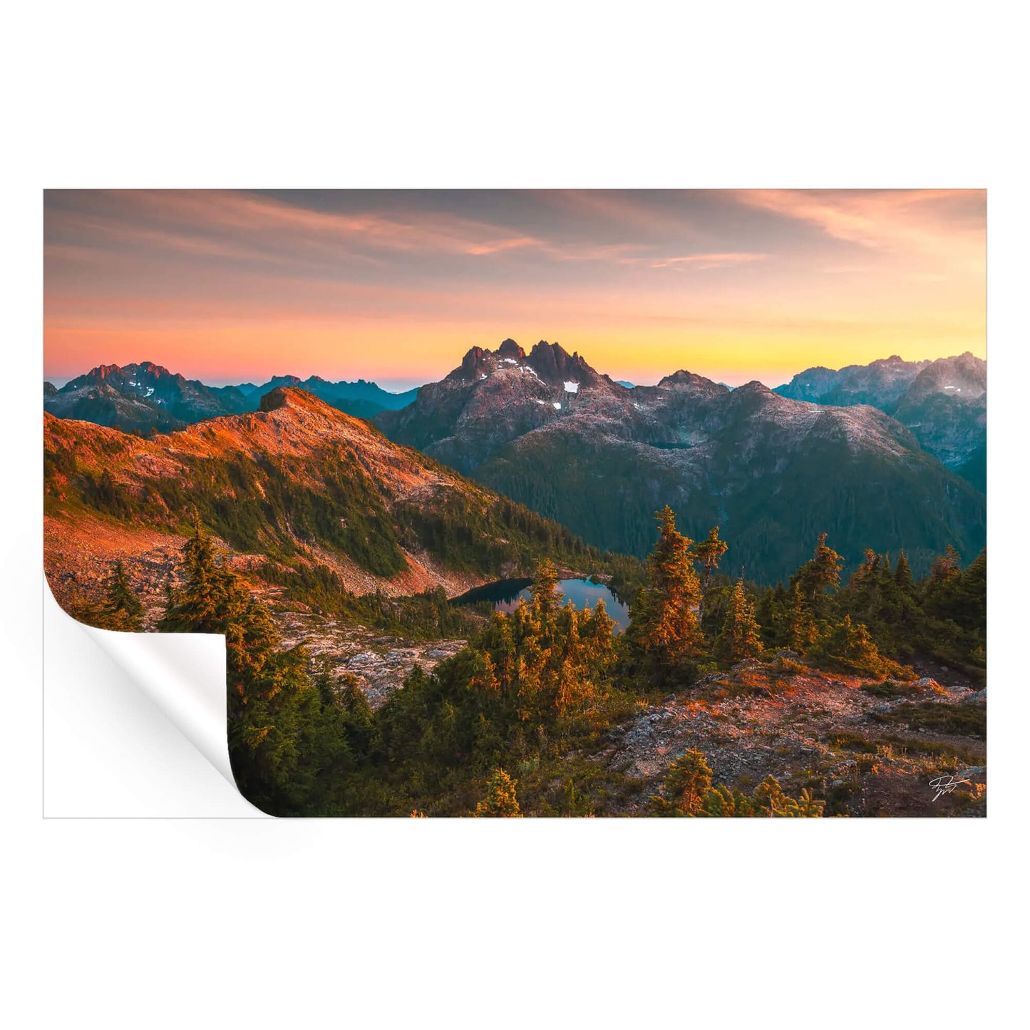 Allure of the Alpines