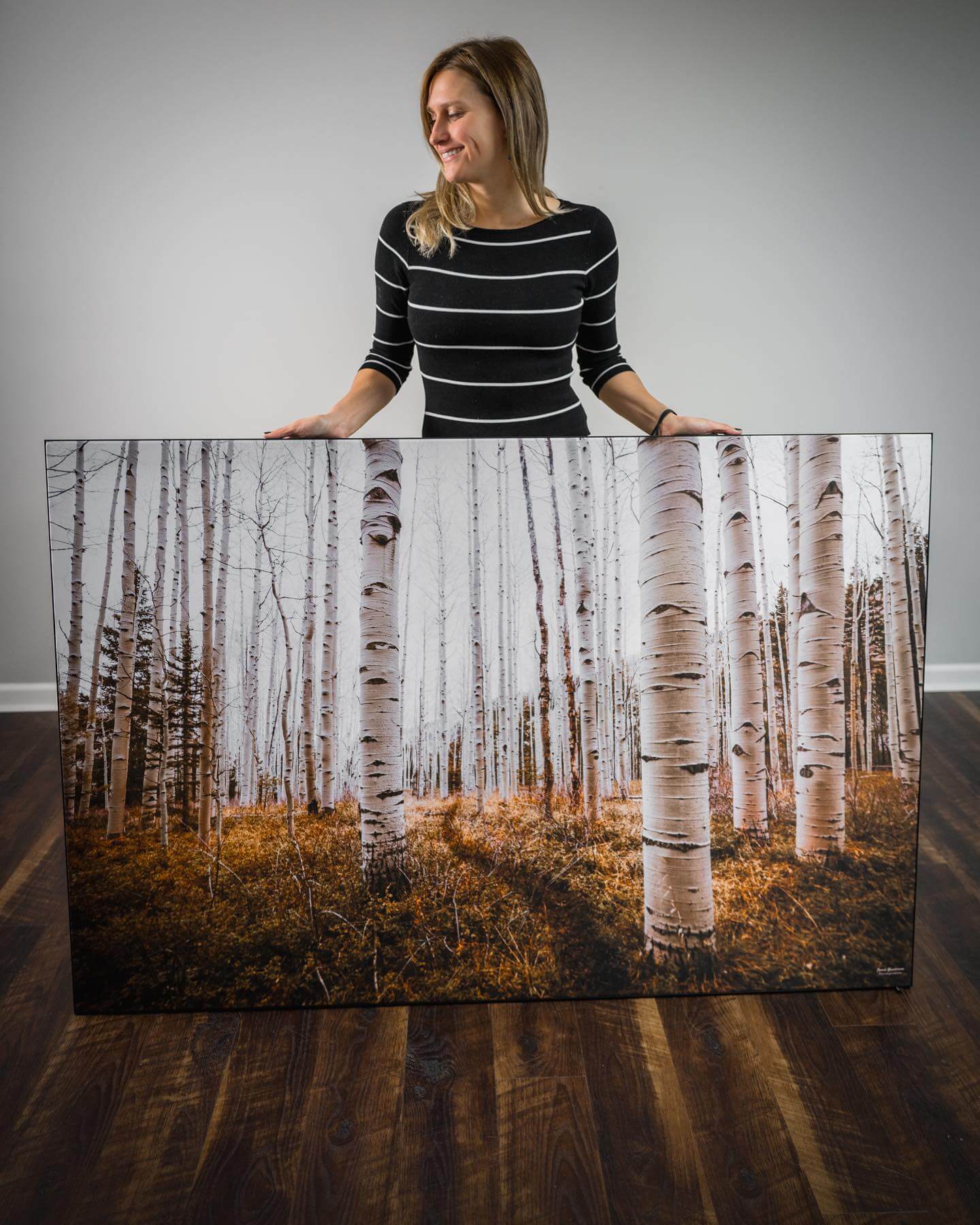 Aspen Grove