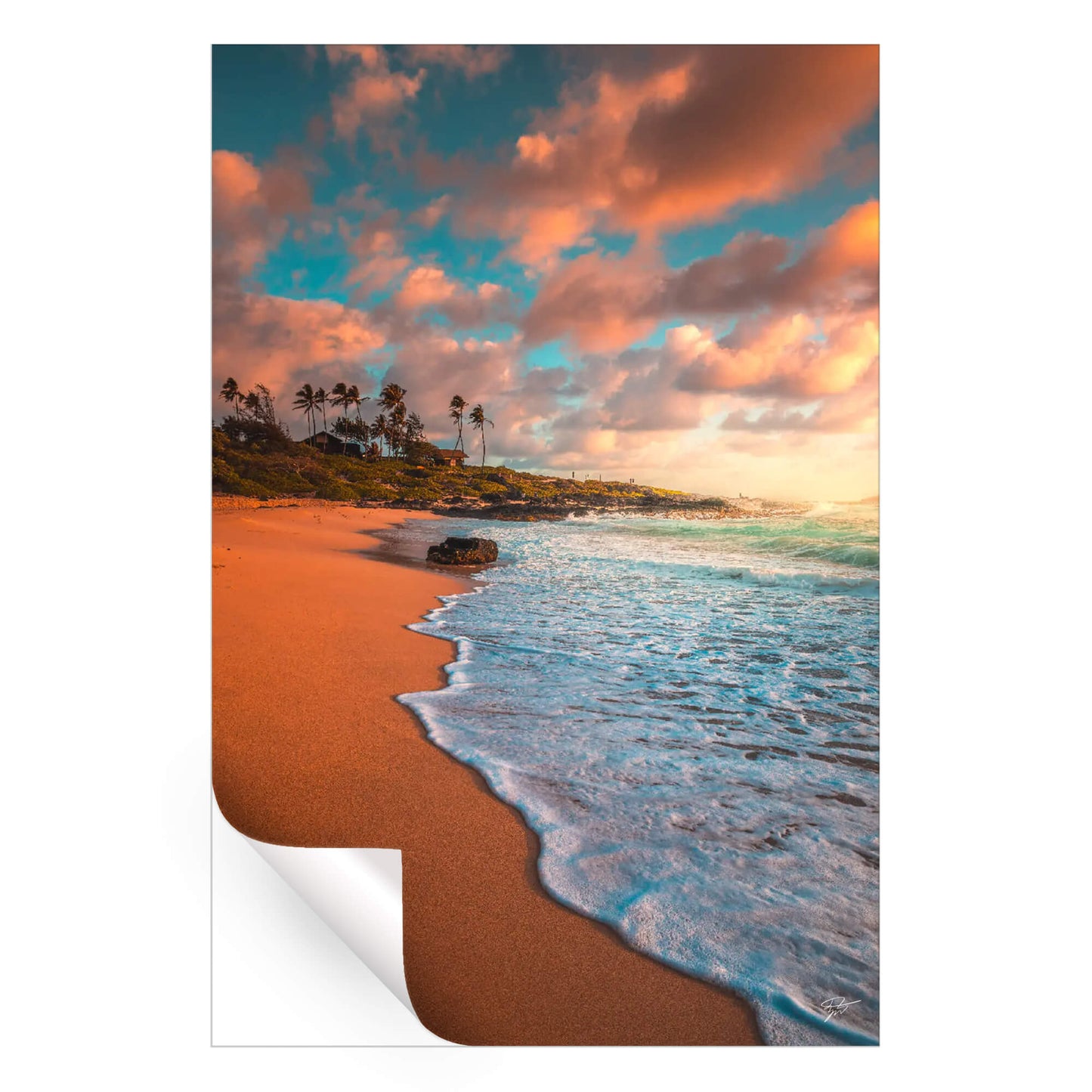 Coastal Serenity