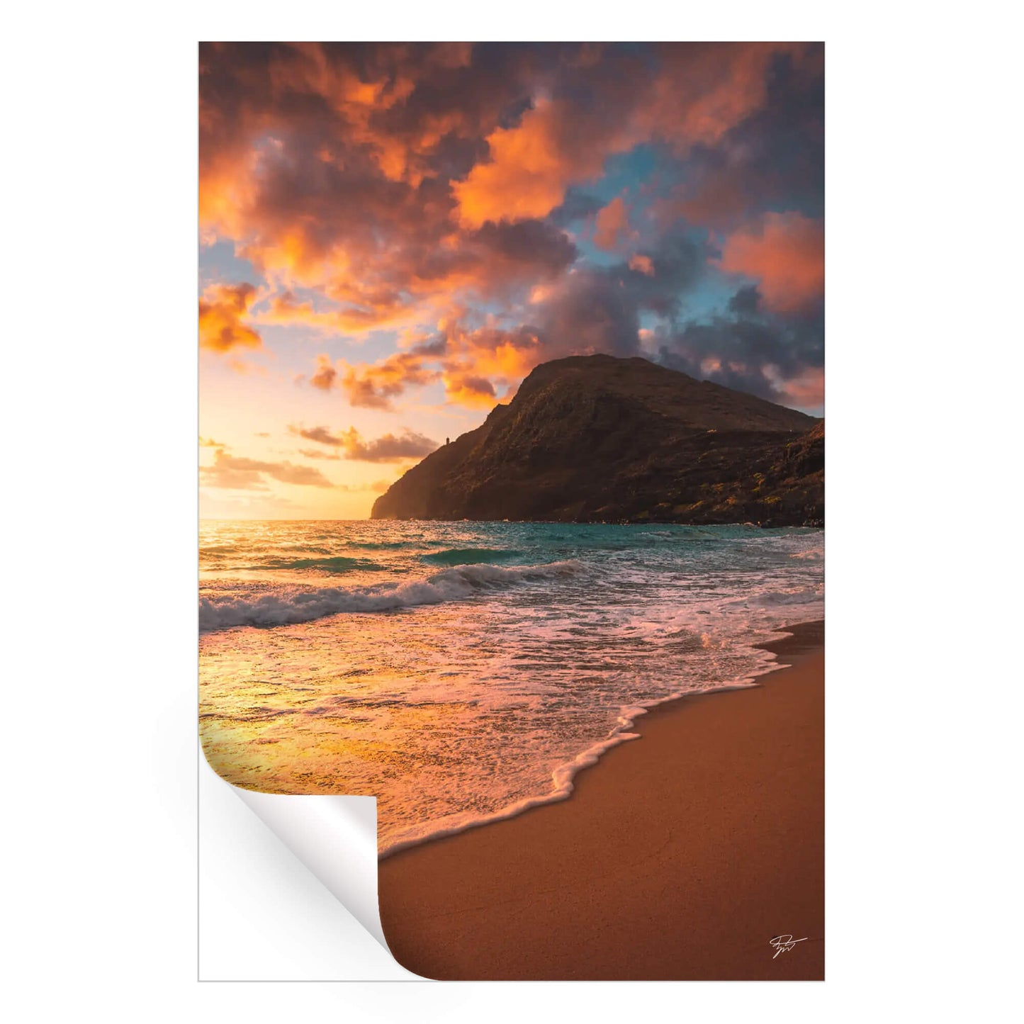 Coastal Warmth