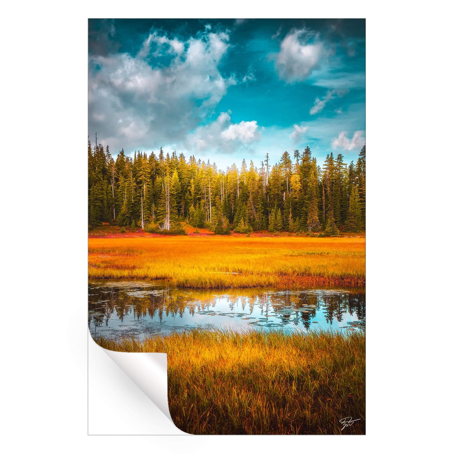 Colorful Simplicity
