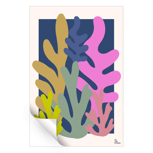 Coral