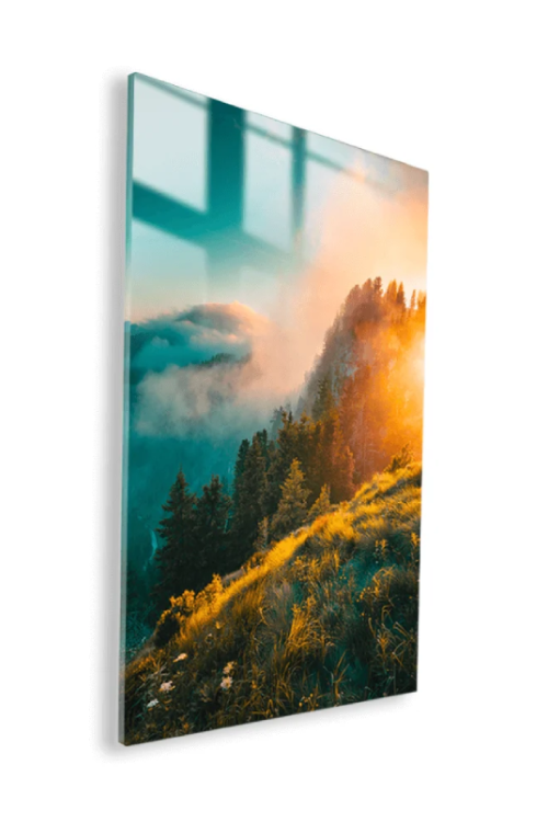 FLOATBACK FRAME