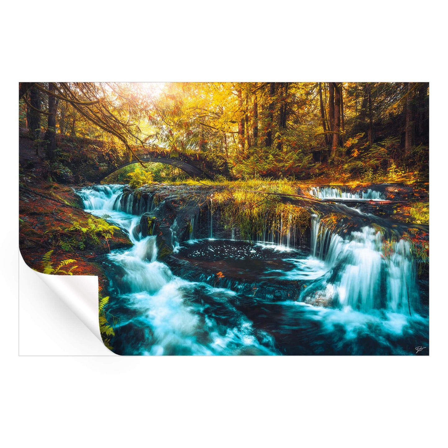 Hidden Cascades