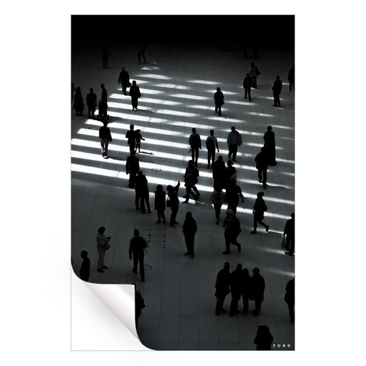 Oculus Shadows