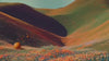 An artistic rendering of a rolling green and orange hillside valley, featuring a vibrant field of small wildflowers in the foreground and an orange sphere emitting a trail of orange butterfly-like shapes.