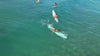 An aerial, high-angle shot tracking a woman in a white bikini paddling and then standing up on a turquoise surfboard, riding a small wave across crystal-clear ocean water.