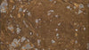 A close-up, abstract texture view of shimmering metallic gold liquid paint gently swirling with patches of silver, creating a textured, glittery fluid pattern.