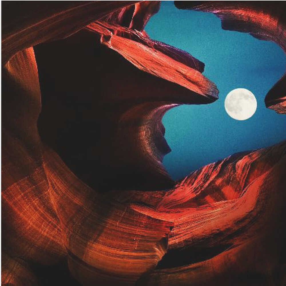 Dancing In The Moonlight
