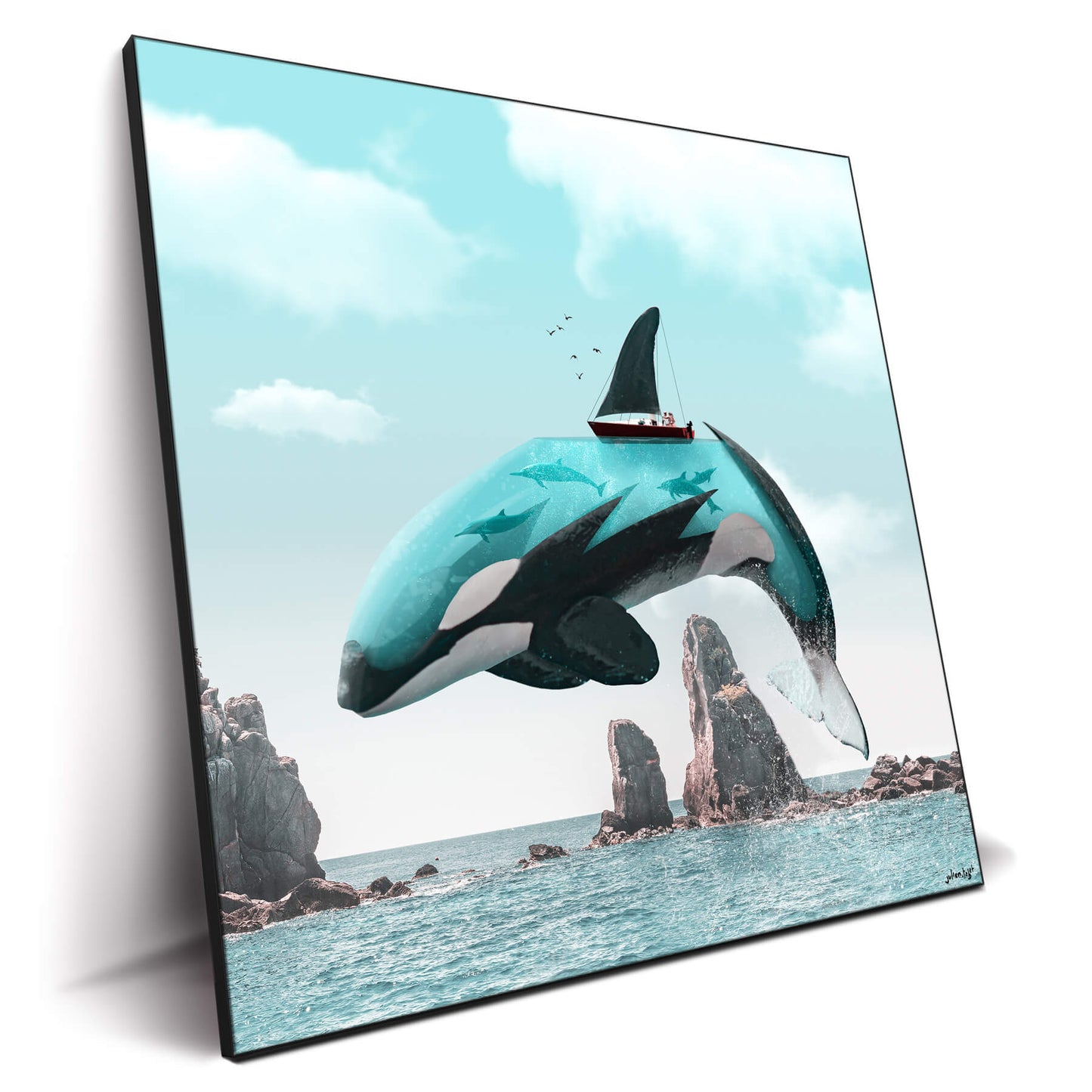 Aqua Orca