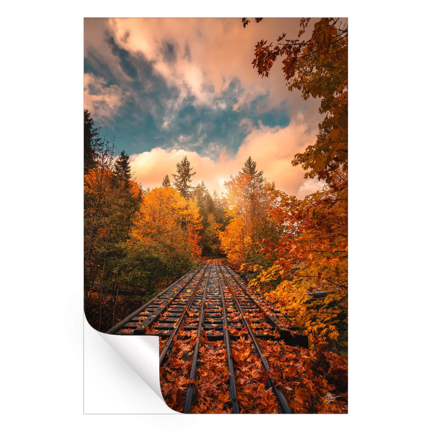 The Autumn Express