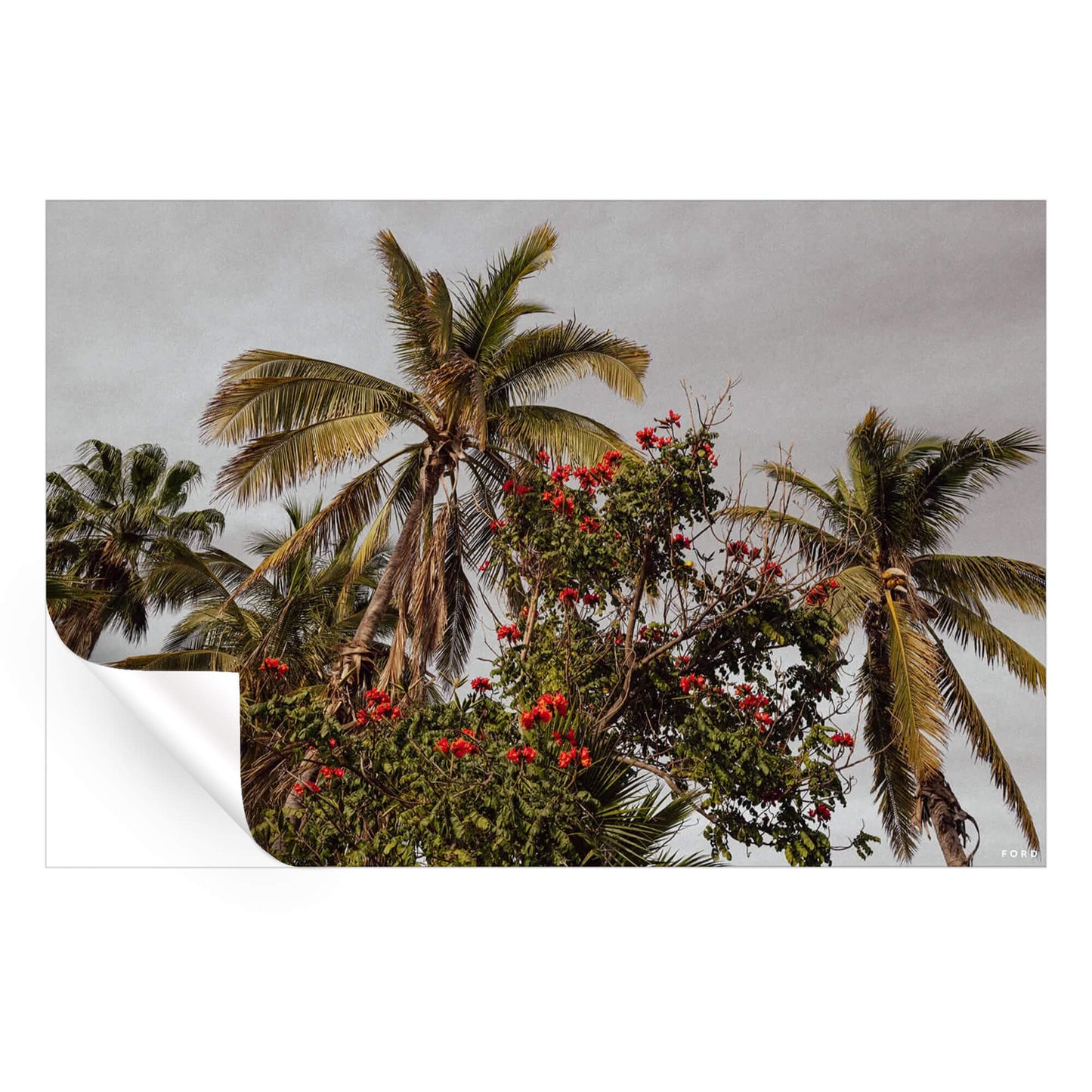 One Day in Mexico