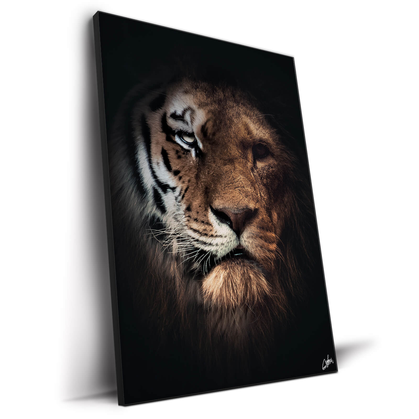Tiger Thoughts Animals Lions & Tigers Canvas Art Print for Wall Decor 