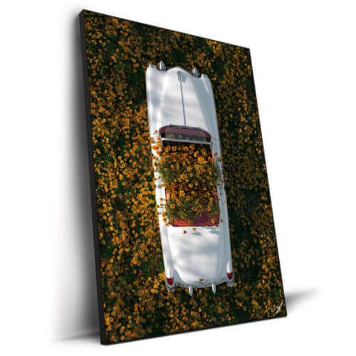 Cadillac in Flowers Wall Art by Konji