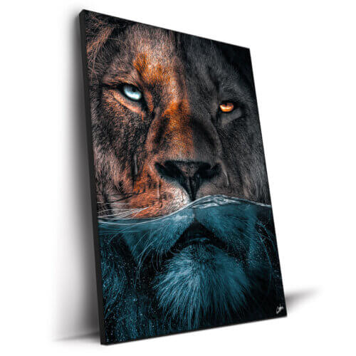 Underwater Lion Wall Art by Zenja Gammer