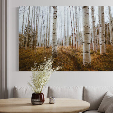 Fall landscape photography of birch trees hung above breakfast nook in gray dining room