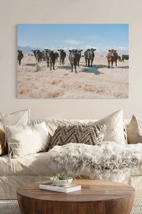 Oversized wildlife wall art featuring a herd of cows hangs above a neutral sofa