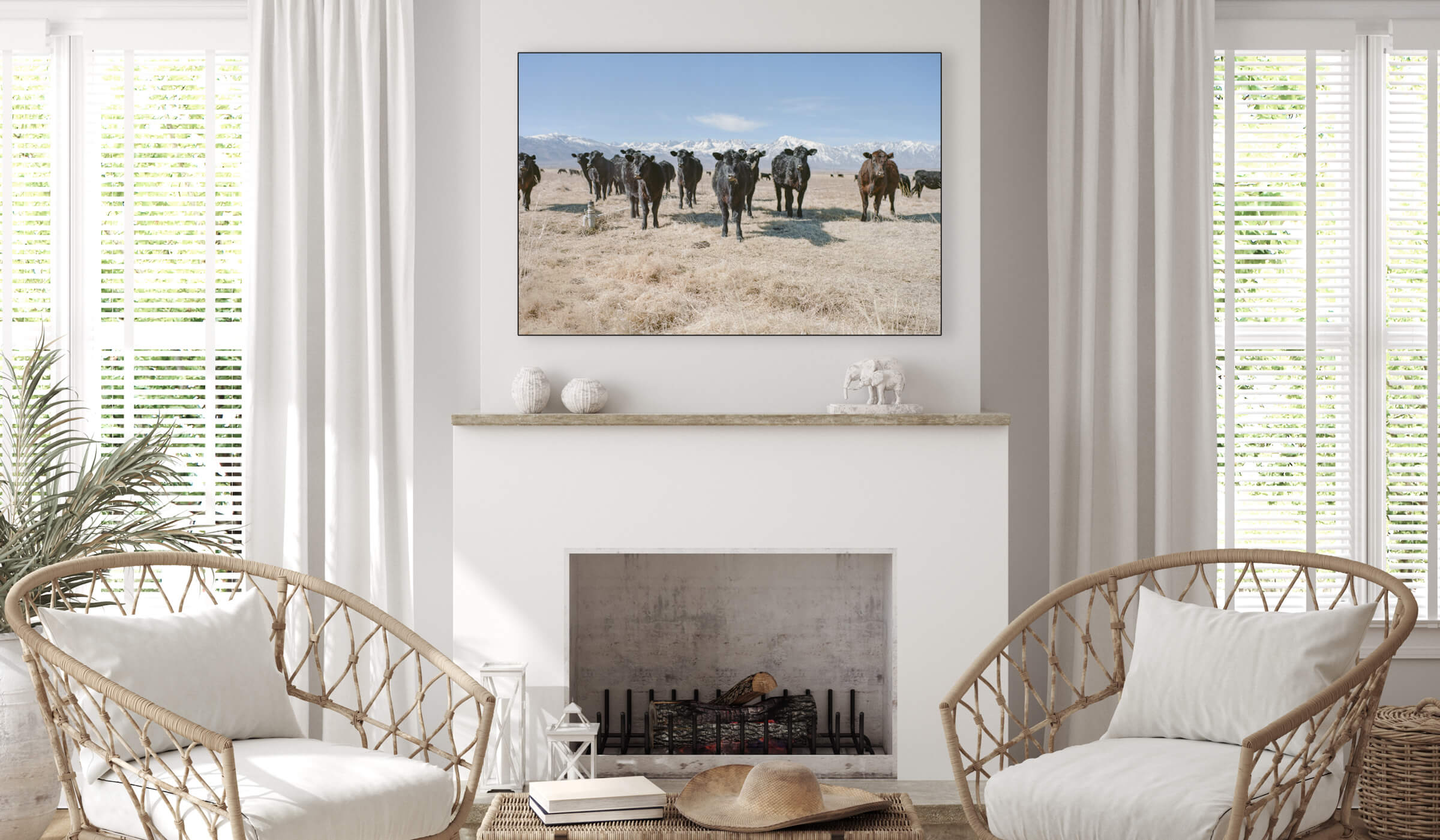 Oversized farmhouse photo of cows in field hangs above white fireplace in modern farmhouse living room.