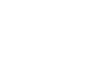 RS ARTIST