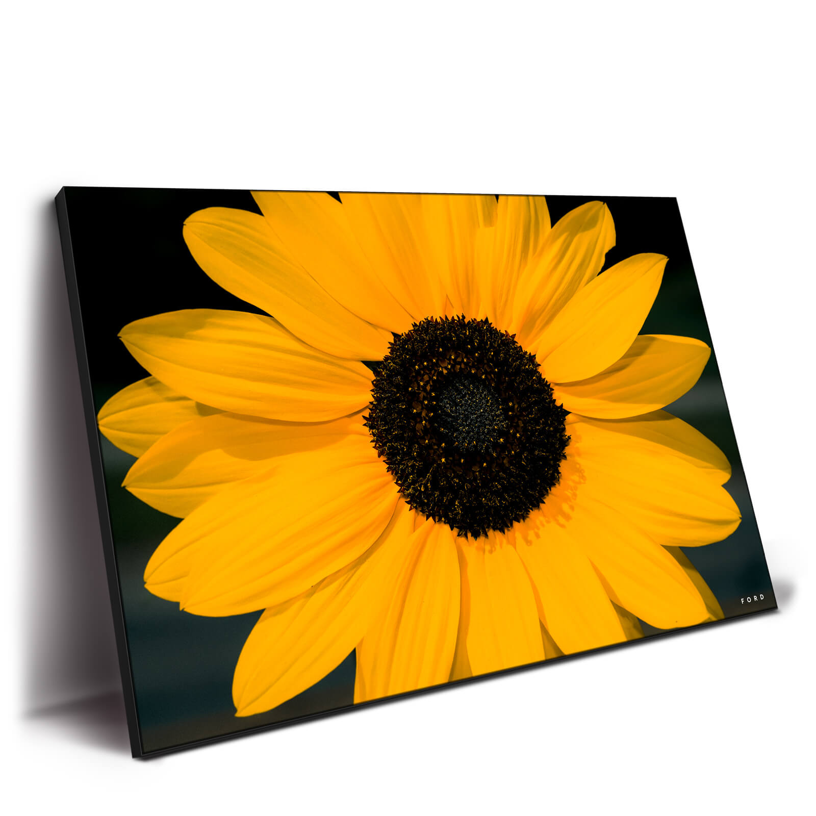 Yellow sunflower wall art big wall d cor