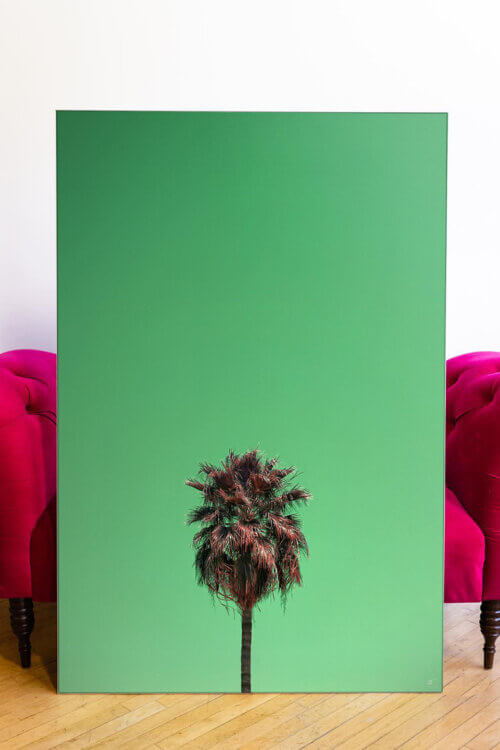 Huge green minimal print with lime green solid background and one palm tree leans against hot pink couch in modern living room.