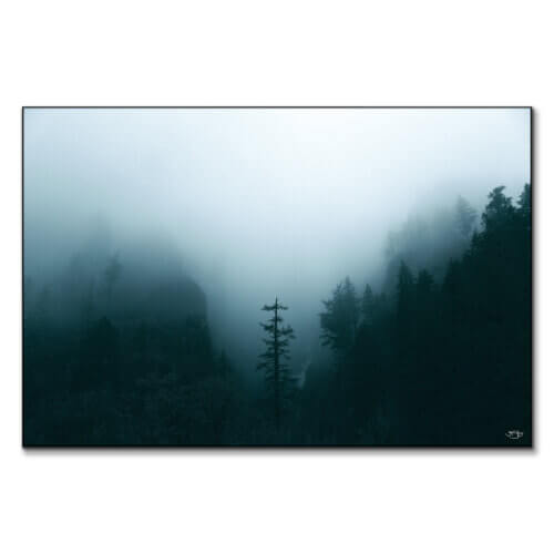 Winter Forest Fog Wall Art BIG Wall Décor