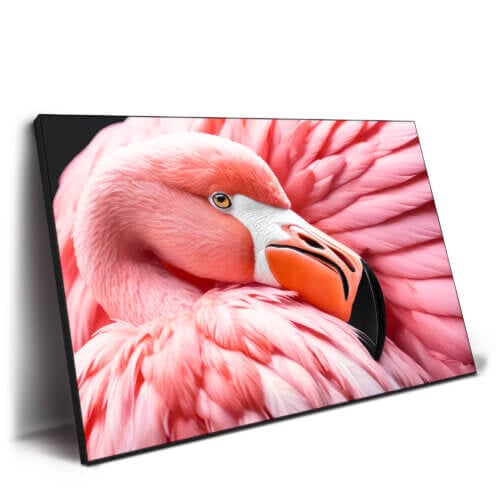 Between the Pink Wings Wall Art by Philippe HUGONNARD