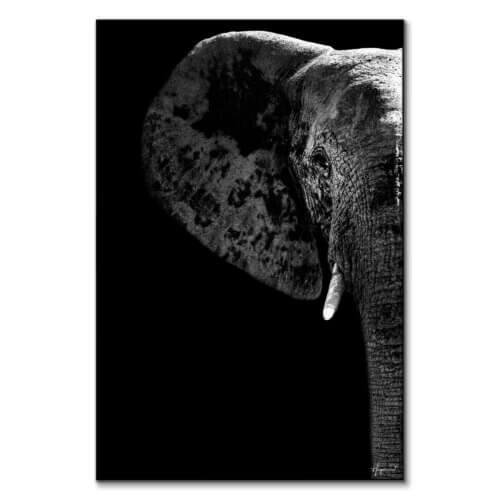 Elephant Head Wall Art BIG Wall Décor