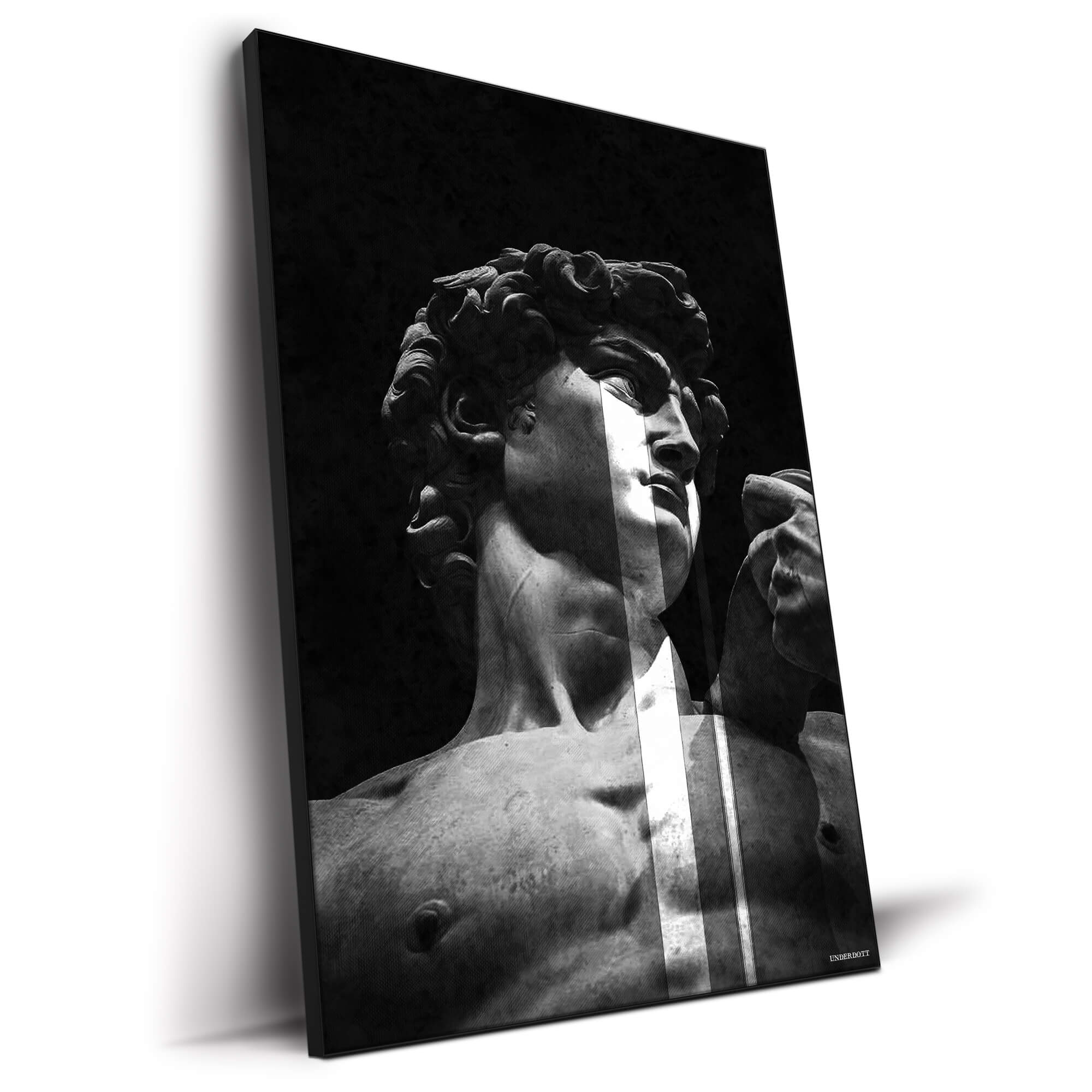 David： Beautiful Frames写真集 ダヴィッド David： Beautiful