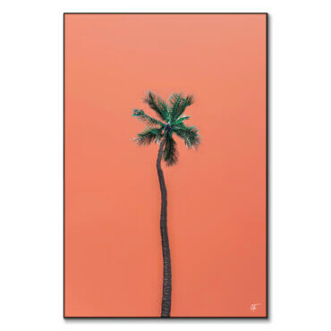 Waikiki