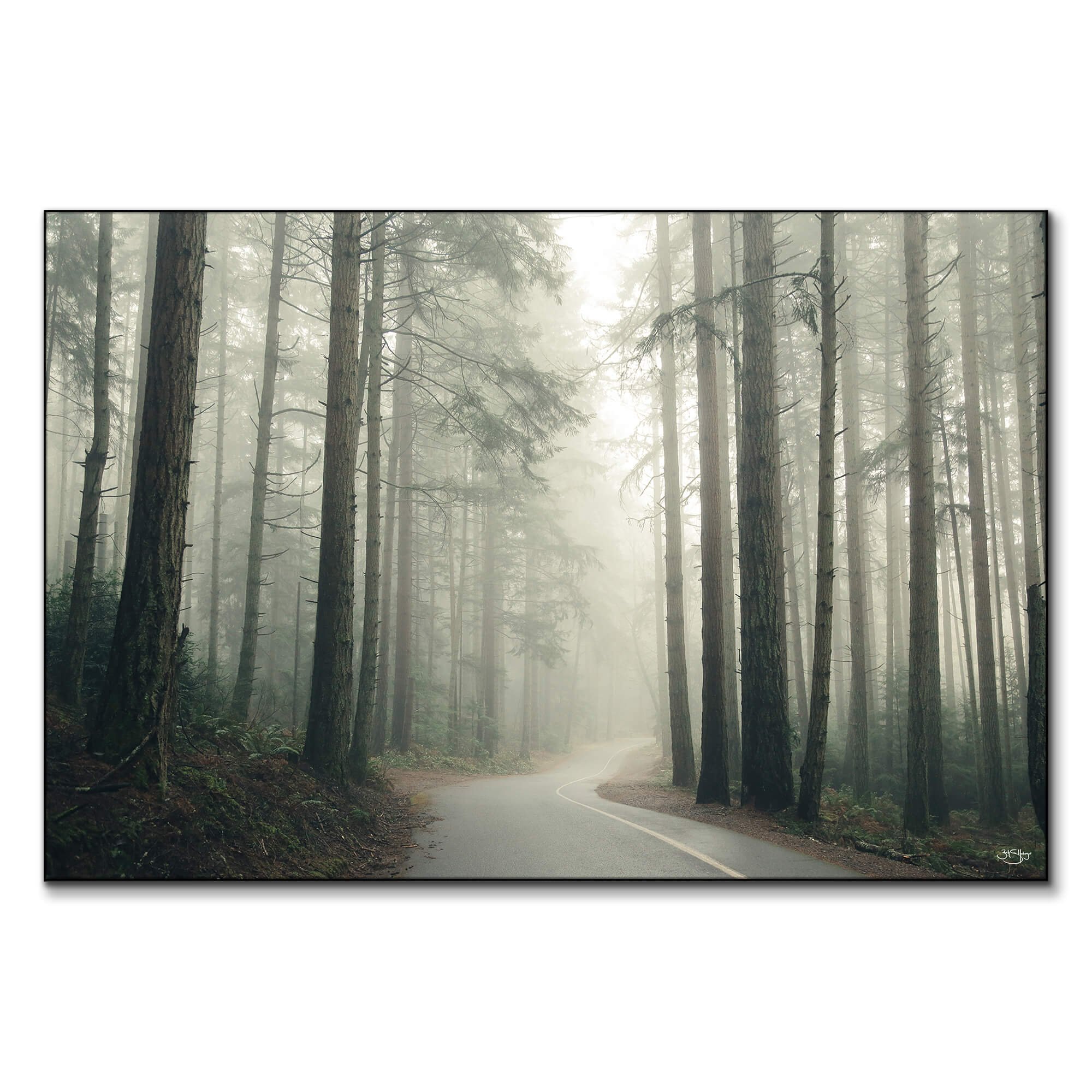 絵画 Forest Hills Landmark SD | Black Hills National Forest Art Print