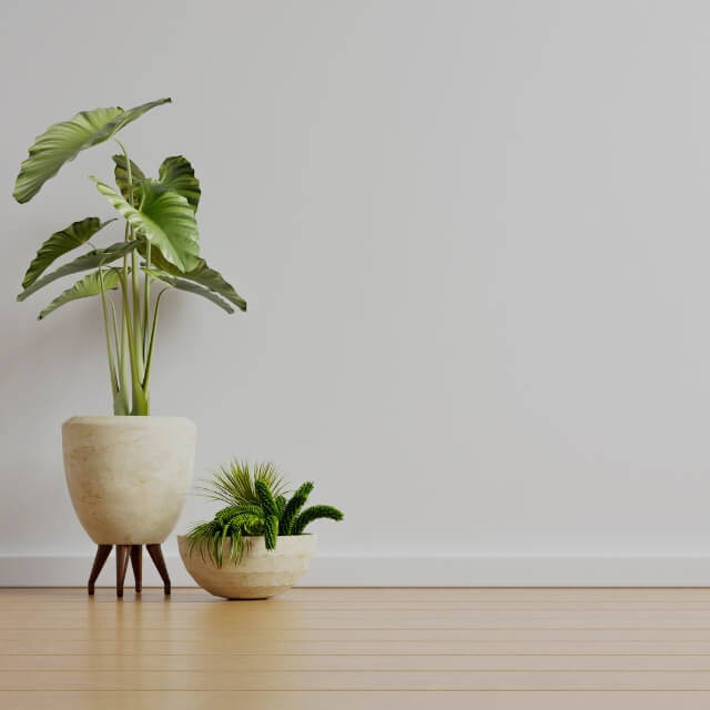 The 8 Deadly Sins of Wall Decor and How to Avoid Them 