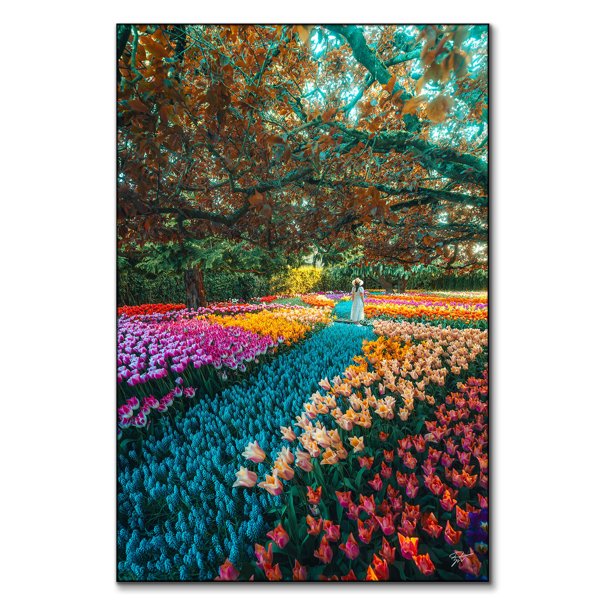 Woman Standing in Vibrant Flower Garden | BIG Wall Décor