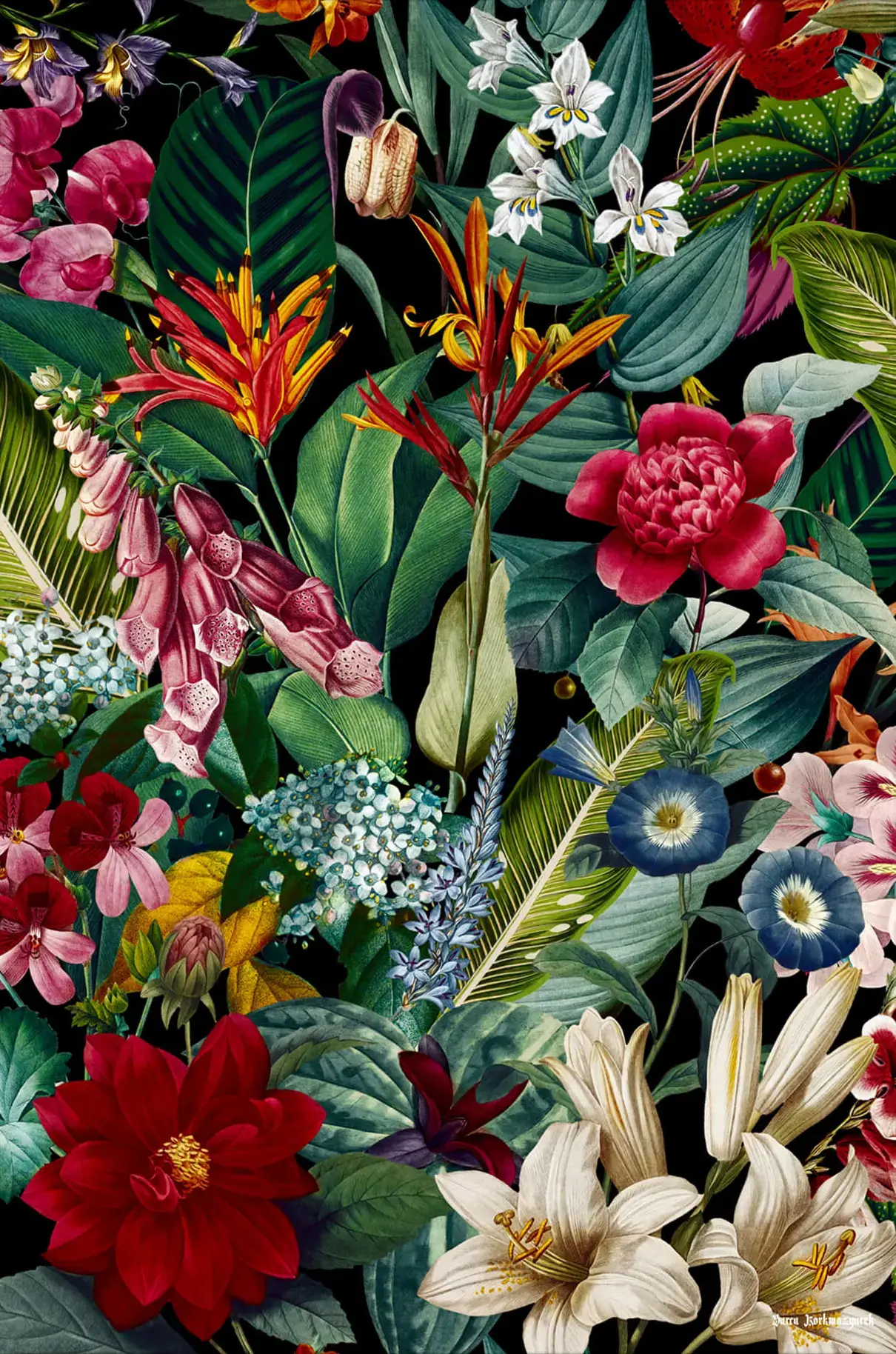 Dark Botanical Vintage Illustration | BIG Wall Décor