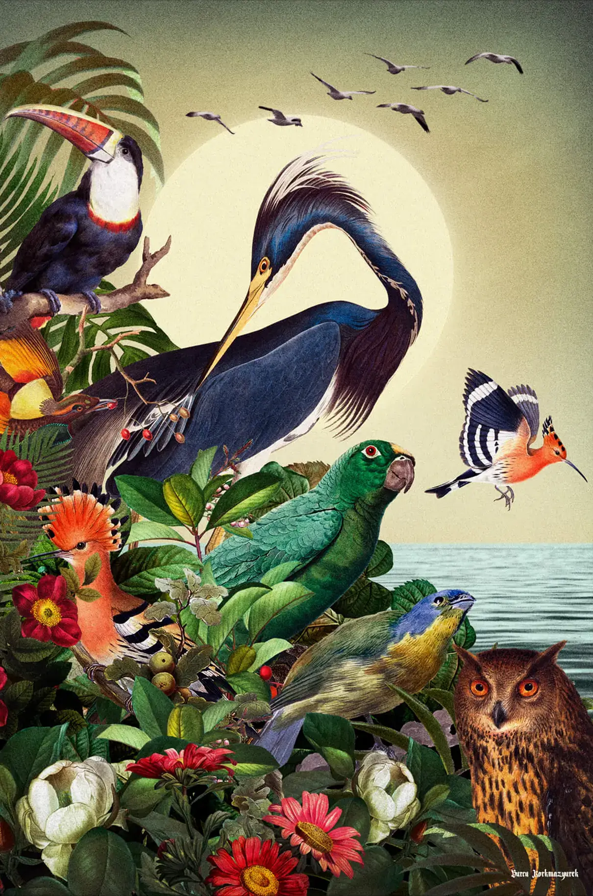 Vintage Bird Illustration | BIG Wall Décor