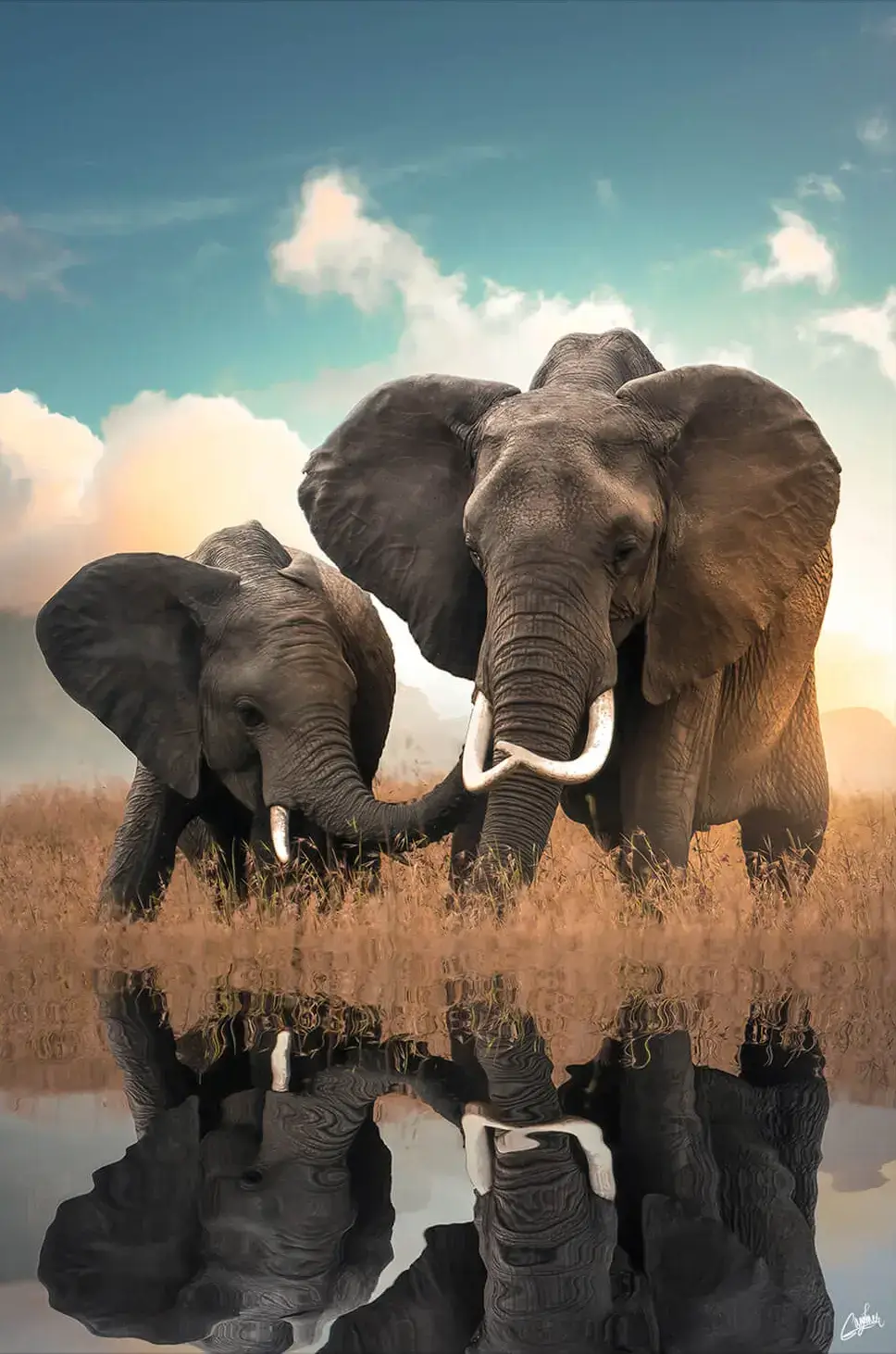 African Elephant Reflection Wall Art | BIG Wall Décor