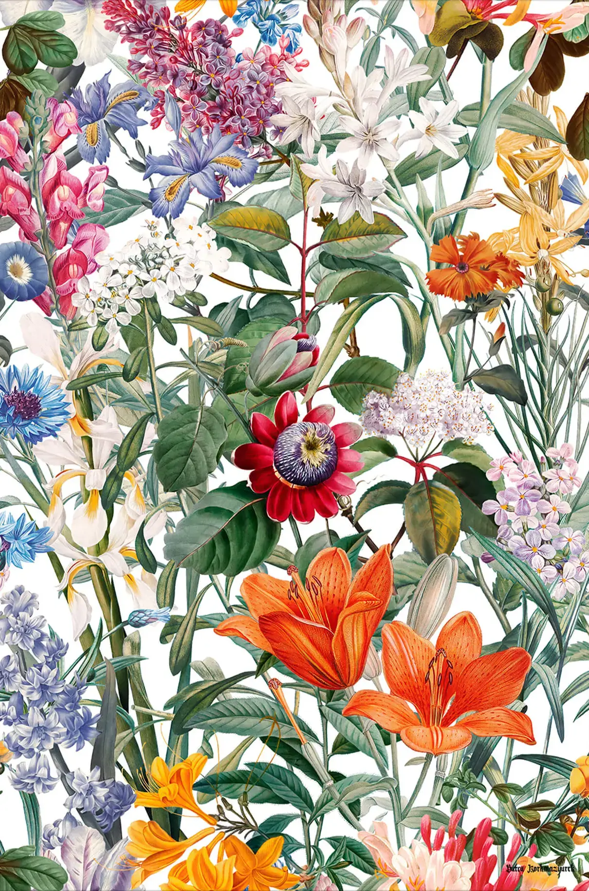 Vintage Floral Wall Art | Colorful Botanical Print