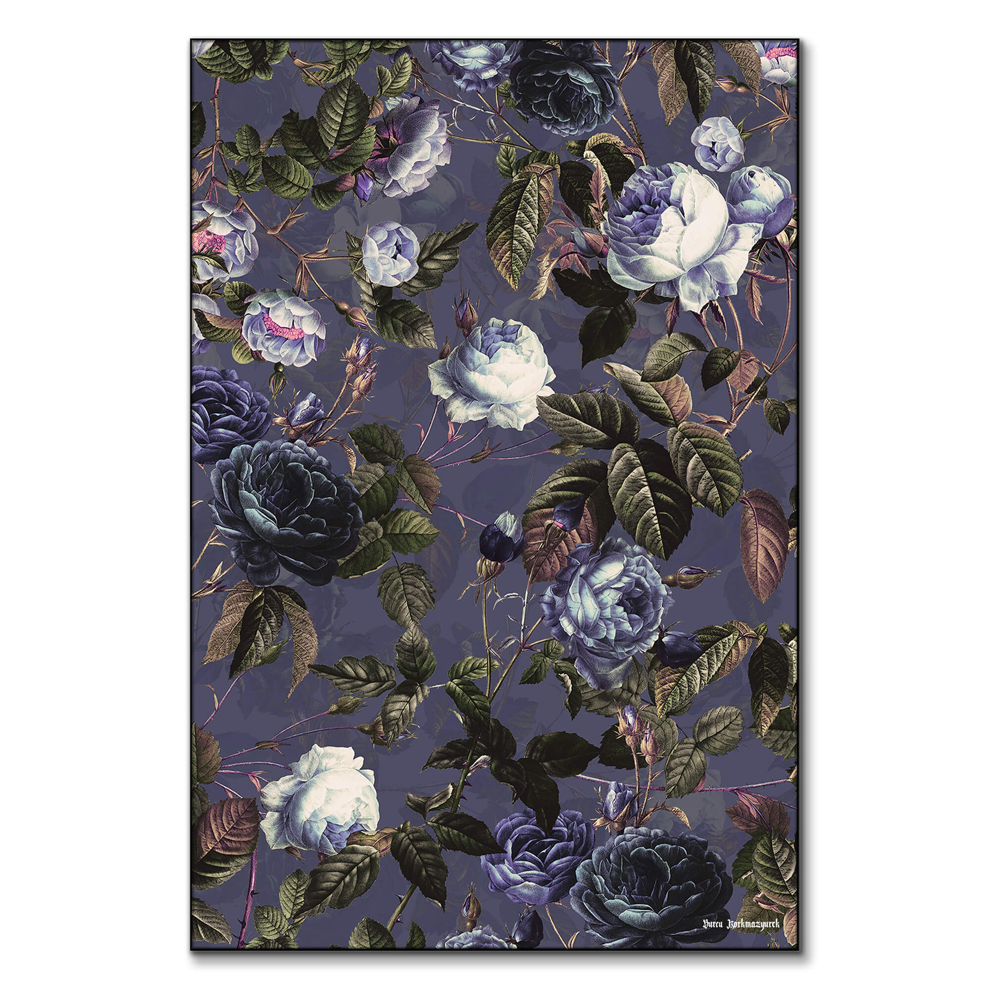 Roses in the Dark II