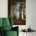 Walk in the Woods #4